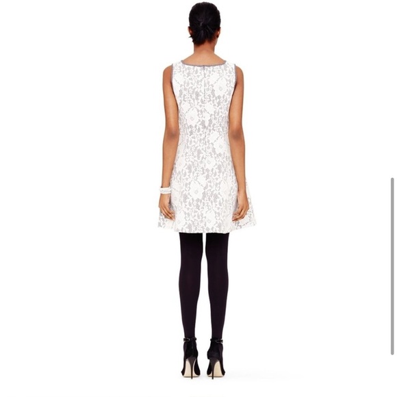 Club Monaco Ashby Lace Overlay Dress Size 8 Wool White Gray Fit and Flare V Neck - Picture 4 of 15